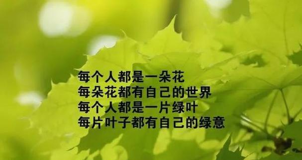 追寻唯美，创造自我（以至自己的唯美句子励志）