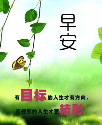 用唯美短句，为朋友圈送上早安心语（从今天开始）