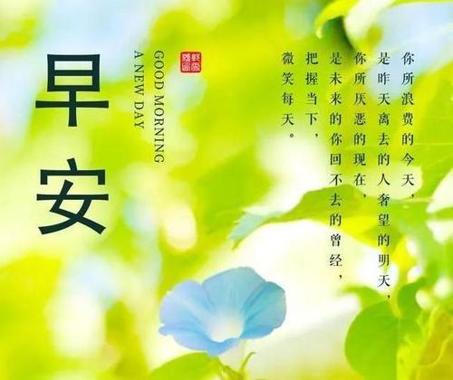 以唯美短句为主，为你送上每个清晨的鼓舞（以唯美短句为主）