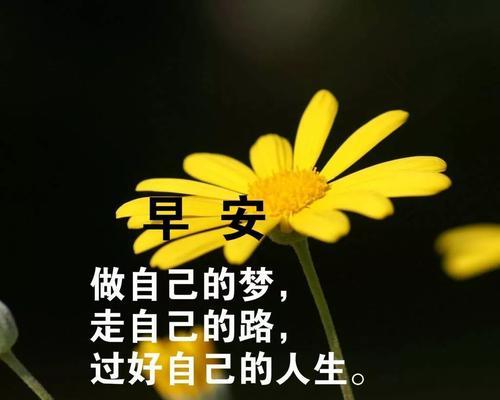 早安励志经典语录（用美丽的语言传递正能量）