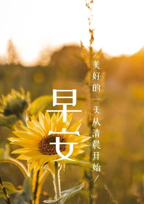 分享美好，收获喜悦（分享美好）