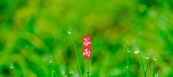 谷雨年代（谷雨时节）