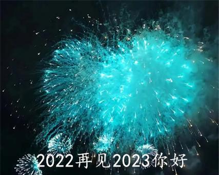 《再见2024你好2024》（抖音用户热捧）