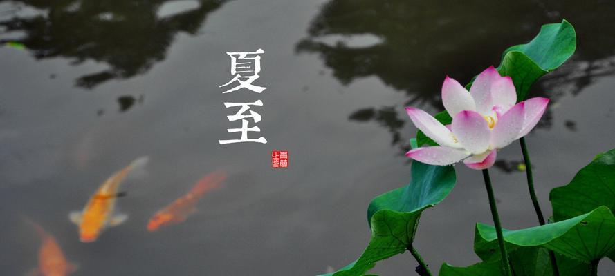 唯美短句营造轻松氛围，让你享受夏至的美好时光（唯美短句营造轻松氛围）