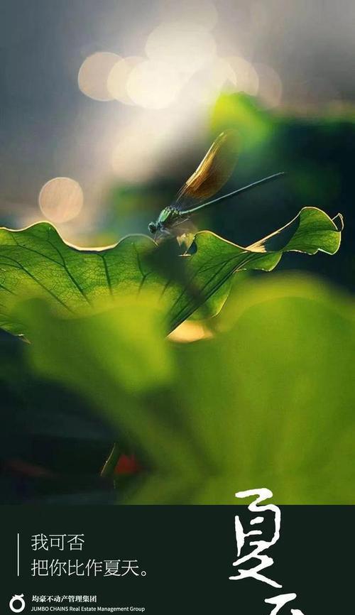 夏至节气——夏日的魅力（天高云淡）