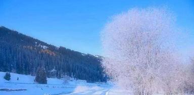 1.看着窗外的雪花，像是银河里的星星在跳舞。