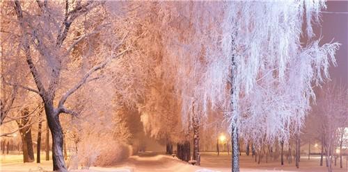 白雪皑皑，纷飞飘扬（唯美短句点缀的雪景诗篇）