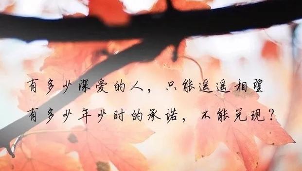 渐行渐远，我想起了你（一段无声的回忆）