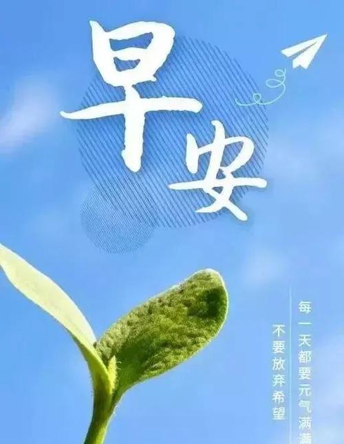 迎接2024，我们的美好（一切皆有可能）