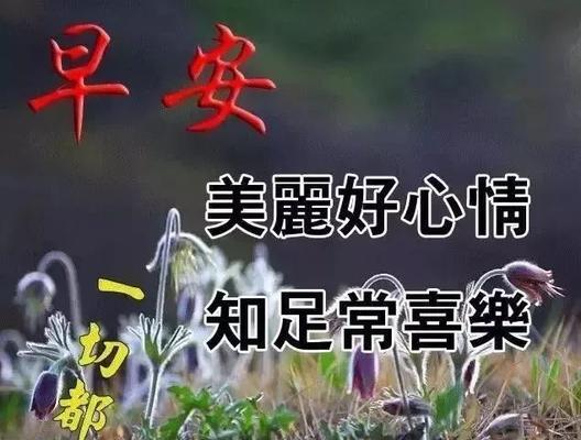 温馨一句，启动美好一天（唯美短句）