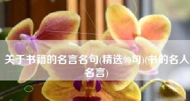 温暖句子赏析——关于爱与生命的美好启示（寻找爱和生命的温暖）