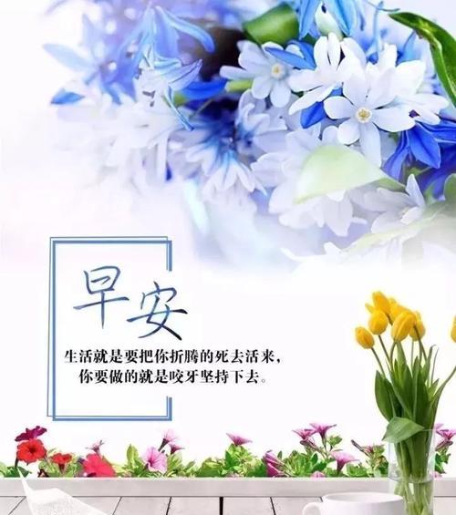 重生的美好——以生活重新开始