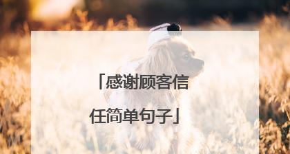 信任——唯美句子的探索（用词如画）