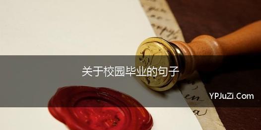 校园里的美丽时光（探寻校园的美好记忆）