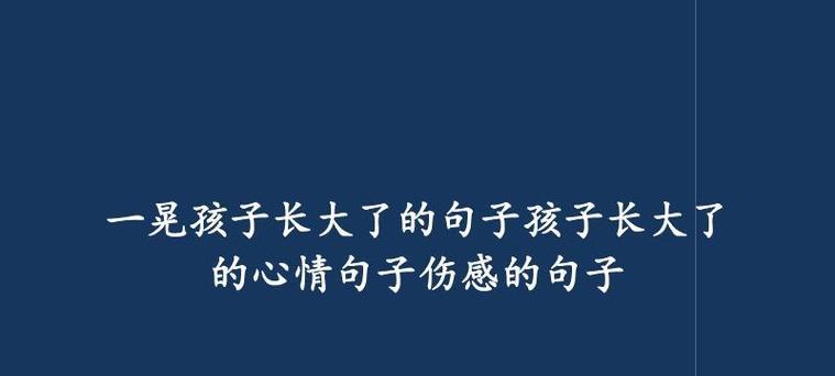 在感慨中迎接2024（唯美短句传递心情）