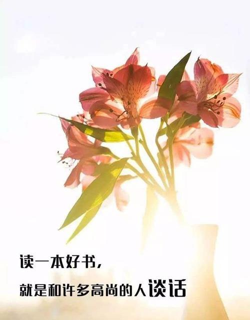 2024毕业，祝福奋斗之路（用美好的短语）