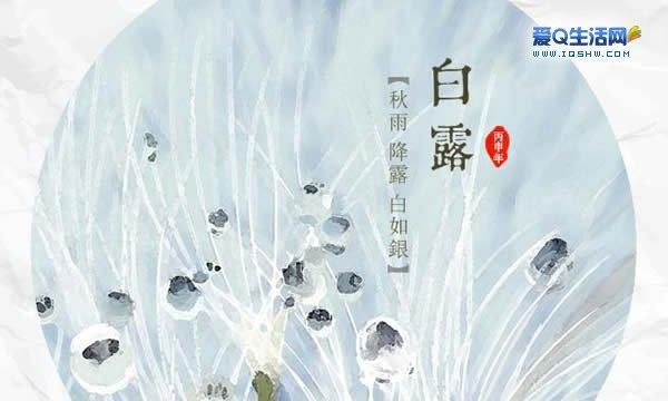 思绪如白露，缘起于节气（2024白露节气感言）