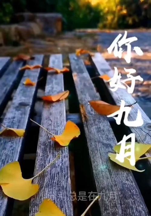 用文字凝固时间，感受转瞬即逝的美好（用文字凝固时间）