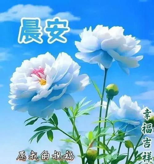 致敬女性，传承美好——最新三八妇女节祝福语句子（140句唯美短句）