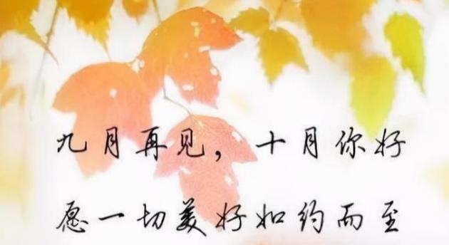 岁月流淌，美丽依旧（11月最后一天的唯美瞬间）