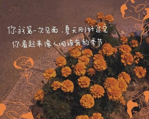 温柔干净的世界——以唯美短句为主题