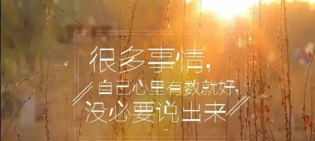 在唯美的短句中感受人生哲理（用语言将生命凝固成一幅美丽的画）