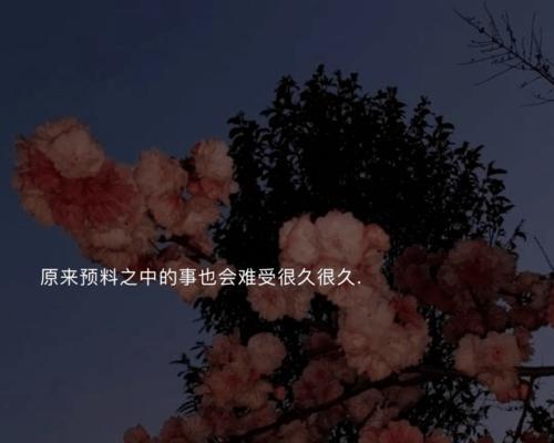 探寻生活中的美好（探寻生活中的美好）