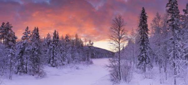 白色幻境——唯美描写雪景的短句集锦（一场梦境般的相遇）