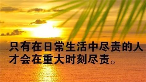 从句子中汲取力量，活出精彩人生（从句子中汲取力量）