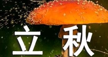 万物皆有序（立秋节气祝福）