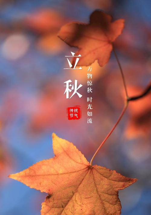 秋风起，送走炎炎夏日——以立秋节气为主题（二十四节气之一）