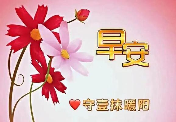 初心如晨曦，暖心祝福迎新年（2024年第一天）