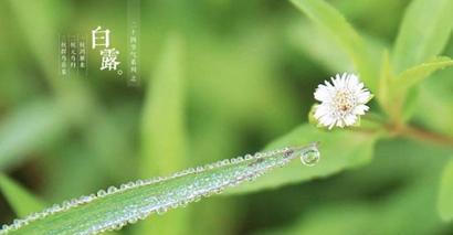 白露经典祝福（秋意渐浓）