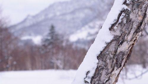 用唯美短句诠释雪的美丽（用唯美短句诠释雪的美丽）