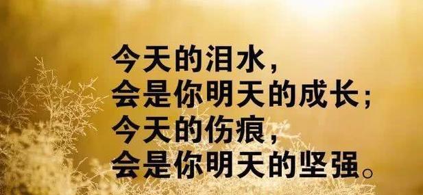 以奋斗不息，铸就精彩人生（唯美句子赏析）