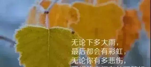 享受味蕾，感受美好生活（享受味蕾）