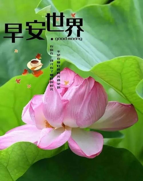 2023立夏祝福语怎么说？有哪些简短的说说推荐？