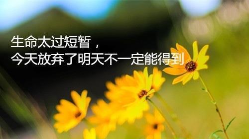 人生感悟经典名言有哪些？如何在生活中应用它们？