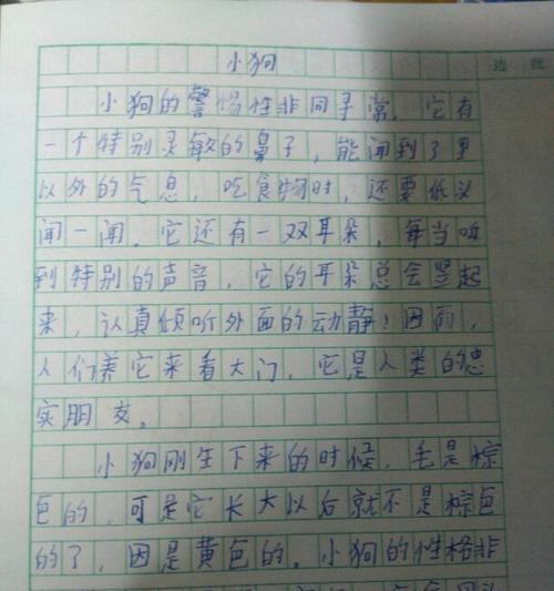 有关小狗的作文怎么写（《勇敢的小狗——一只小狗的成长故事》）